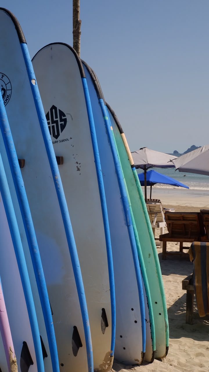 Row of surfboards lined up on the beach